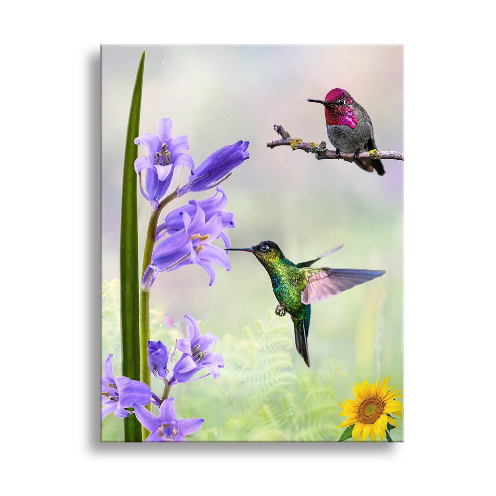 Hummingi bird ultra-High Definition Canvases print(Minimum of 4)