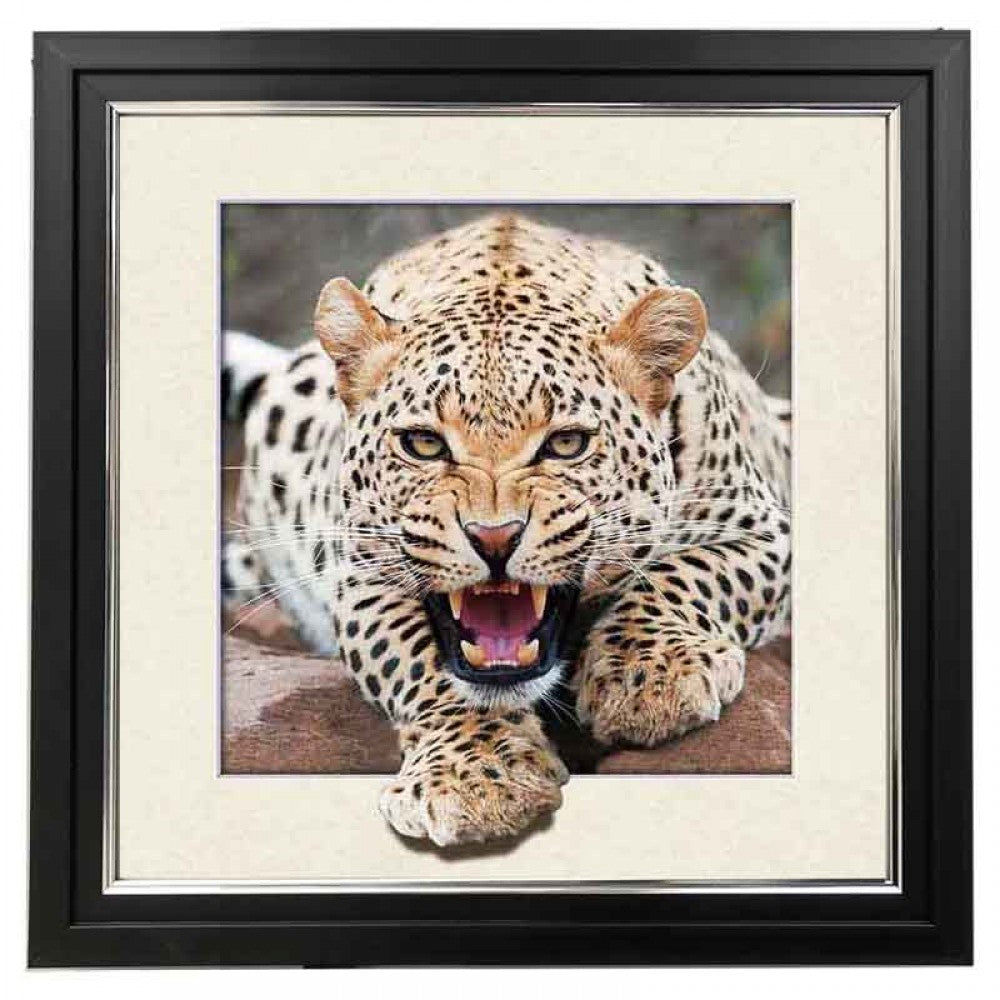 LED Lighted Leopard 5d Lenticular Picture Frame 18x18  (Minimum of 4)
