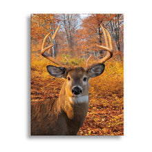 Load image into Gallery viewer, ultra-High Definition Canvases print  (Minimum of 4)
