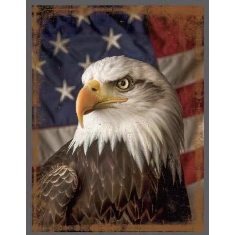Metal sign print American Eagle Picture size 15x19 (minimum of 10)