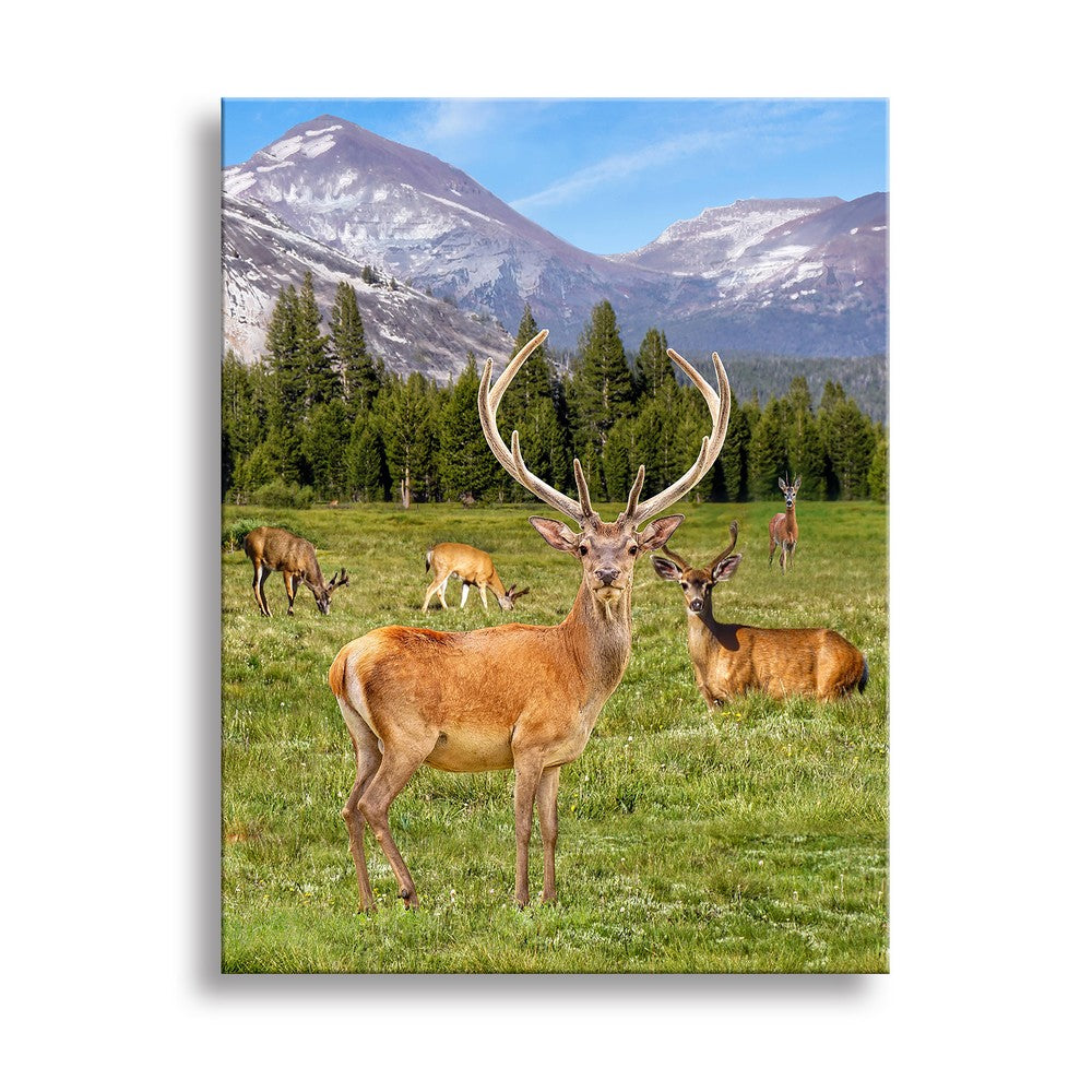 ultra-High Definition Canvases print  (Minimum of 4)
